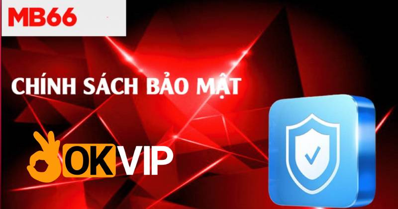 Bảo mật cá cược – Không lo lộ dữ liệu, không sợ bị hack