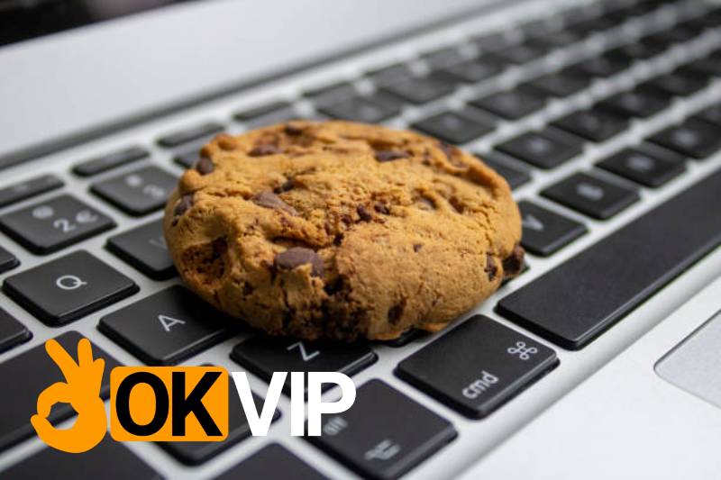Chính sách cookie và trải nghiệm cá cược thông minh