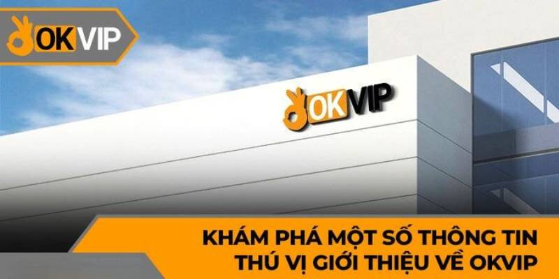 Lịch sử phát triển – Từ Taipei101 đến Liên minh OKVIP